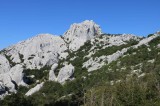 IMG_2536